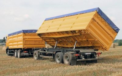 Услуги зерновозов для перевозки зерна - Владикавказ, цены, предложения специалистов